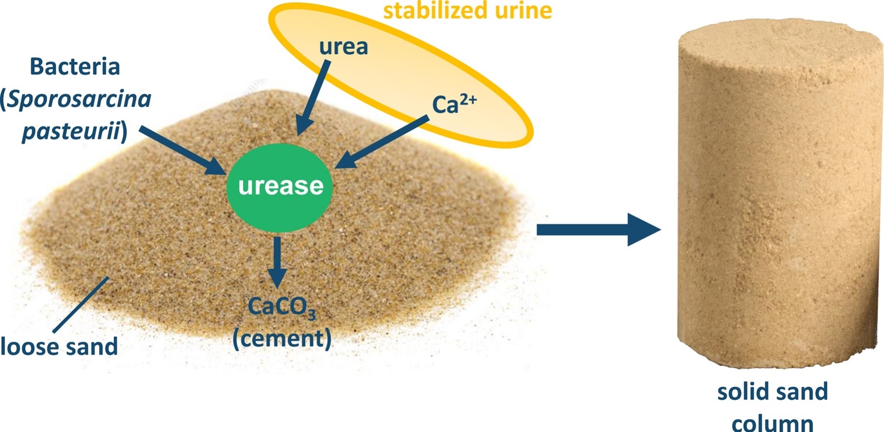 Link to the paper: https://ars.els-cdn.com/content/image/1-s2.0-S2213343718304251-ga1_lrg.jpg