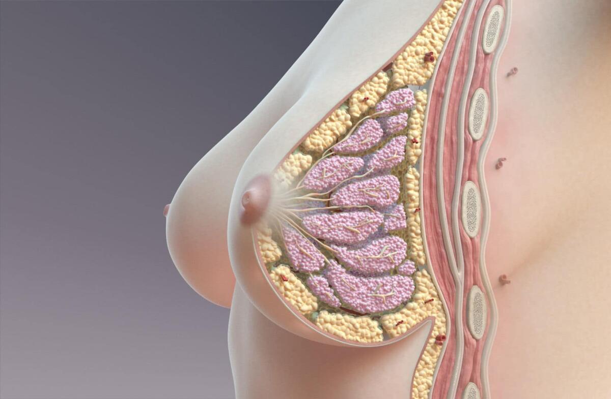 Tumore al seno, Tamoxifene efficace contro le recidive anche a basso dosaggio - Tumore al seno, Tamoxifene, crediti: img1.cgtrader.com