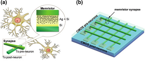 Caratteristiche del memristor in nanoscala e sua applicazione come sinapsi. (a) Illustrazione schematica del concetto di utilizzo dei memristori come sinapsi tra i neuroni. I riquadri mostrano gli schemi della geometria del dispositivo a due terminali e l