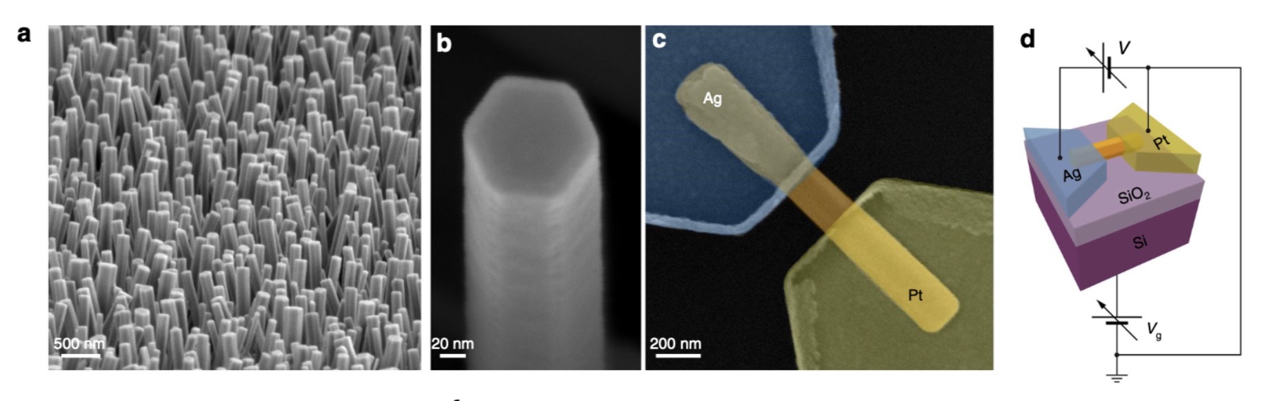 Immagini SEM dei nanofili e rappresentazione schematica del dispositivo. PH:nature.com