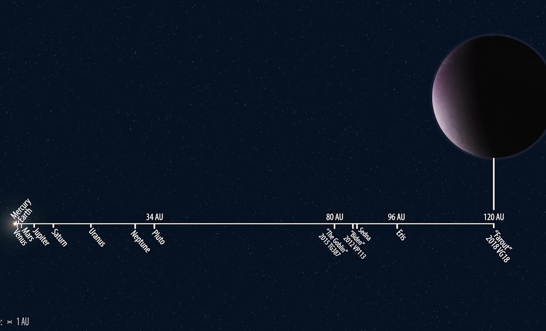 Sistema solare in scala che mostra la distanza di Farout a confronto con quella degli altri oggetti noti. Crediti: illustrazione di Roberto Molar Candanosa e Scott Sheppard, gentile concessione della Carnegie Institution for Science (From Inaf)