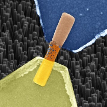 Riprodurre le sinapsi del cervello grazie a nanofili cristalliniCredits: Politecnico di Torino