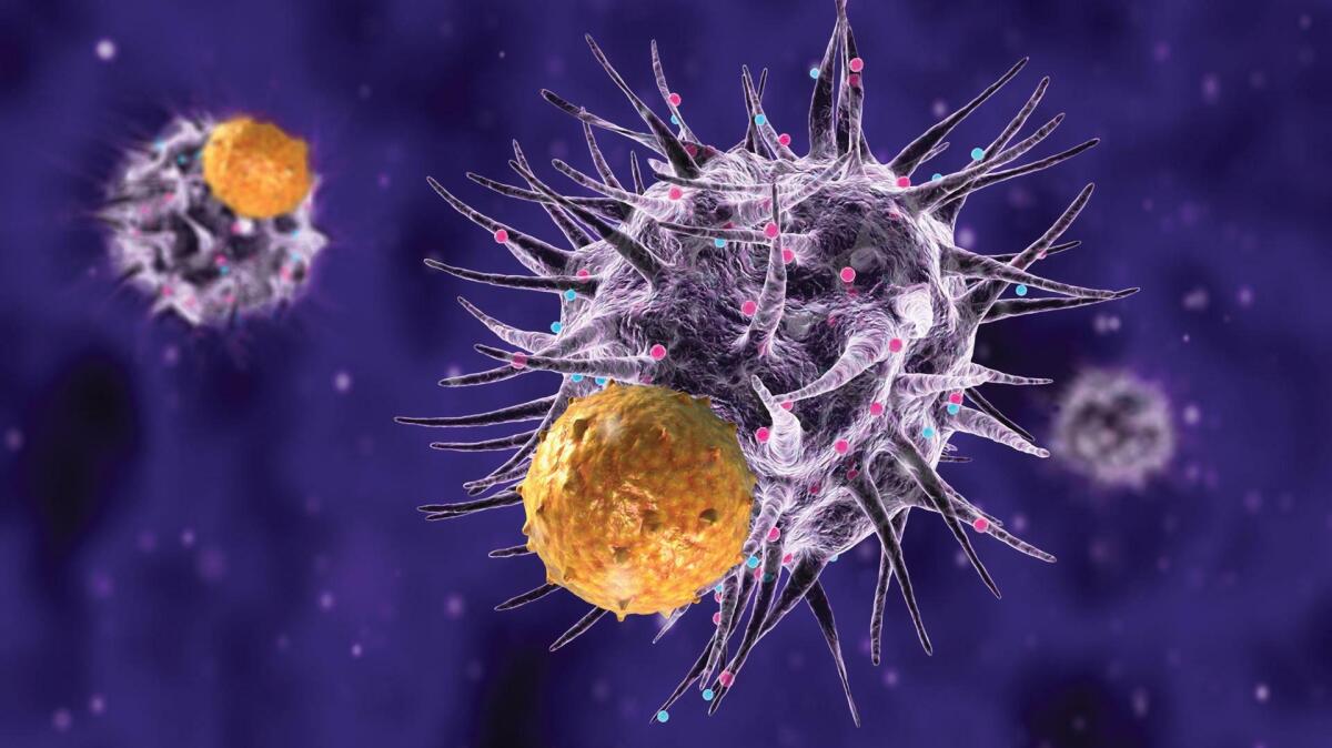 Un nuovo farmaco per l'immunoterapia oncologica? - Ph: Daniel Stern