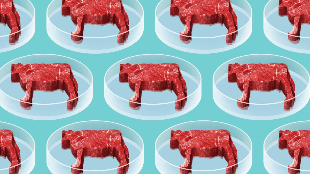 Carne sintetica: presto nei nostri piatti? - 