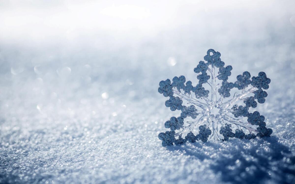 La 'magia' dei cristalli di neve, tra fisica e geometria - Cristalli, crediti: s1.1zoom.me