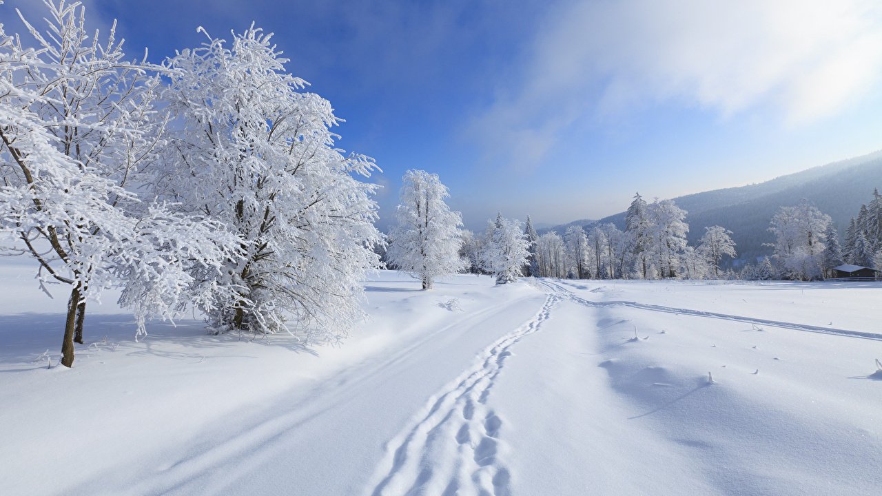 Paesaggio innevato, crediti: Curiosilandia.it