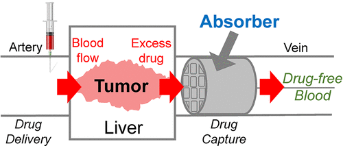 Schema di funzionamento della spugna 3D per ripulire il sangue dai farmaci chemioterapici in eccesso, dopo aver attaccato l'organo bersaglio affetto da tumore. PH:pubs.acs.org