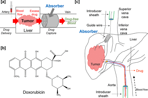 Diagramma che mostra l'approccio proposto per la cattura del farmaco usando un assorbitore stampato in 3D. (b) Struttura chimica della doxorubicina, il farmaco chemioterapico utilizzato in questo studio. (c) Schematica del trattamento endovascolare del ca