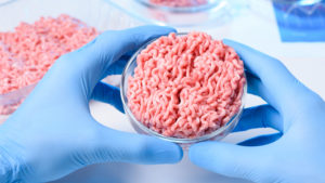 Carne sintetica: presto nei nostri piatti?