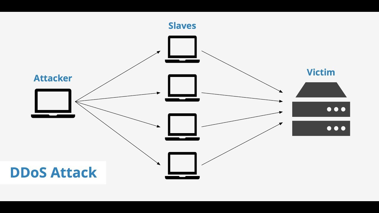 Figura 1 schema concettuale di un attacco DDoS eseguito utilizzando una botnet.