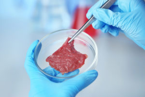 Carne sintetica: presto nei nostri piatti?