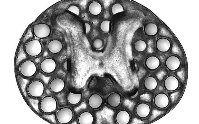 Impalcatura del midollo spinale stampato in 3D. Ph: Jacob Koffler e Wei Zhu, UC San Diego