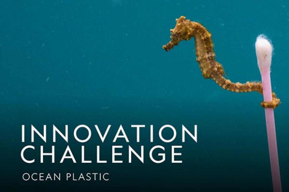 Ocean Plastic Innovation Challenge: idee cercasi - nationalgeographic.com