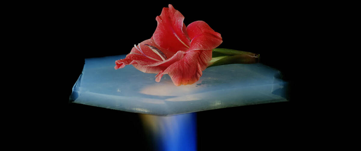 Leggero e superisolante, l'aerogel tra i materiali del futuro - Il superisolante aerogel

Crediti: www.aeropan.it