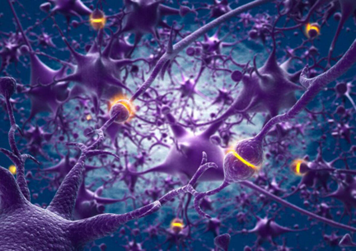 Neuroni comunicano con sinapsi artificiali: la conquista del cervello è vicina - PH:lescienze.it