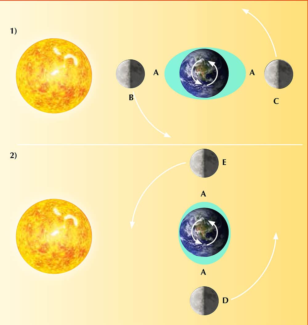 Maree influenzate da Luna e Sole.Crediti: www.scienceinschool.org