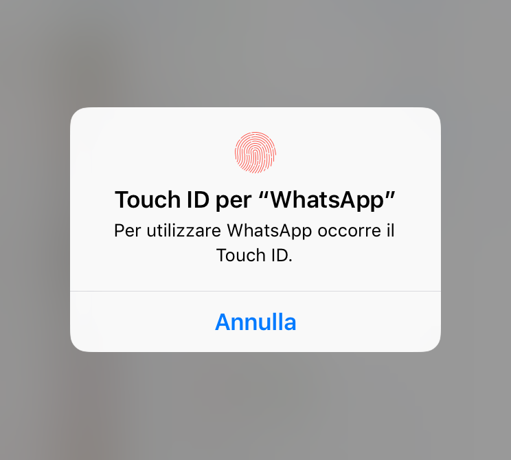Richiesta sblocco Touch ID.