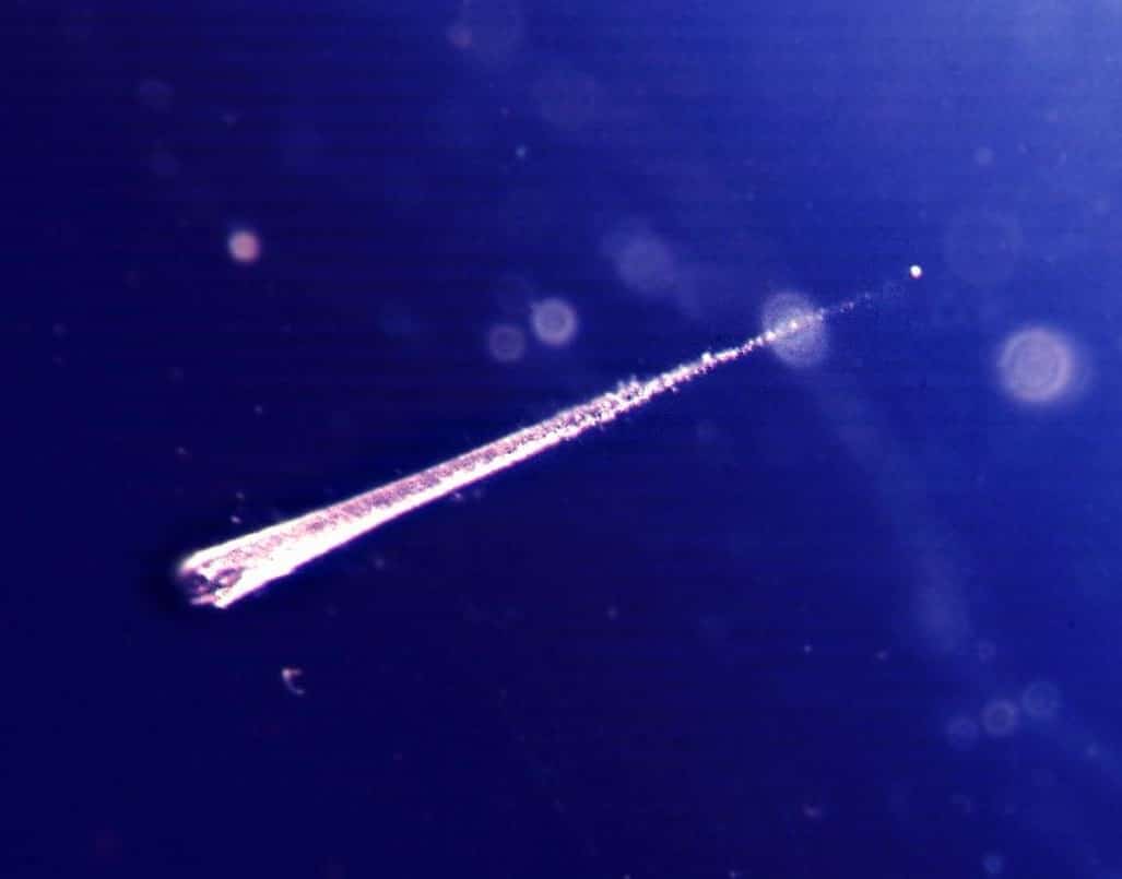 Traccia di polvere stellare intrappolata in aerogel raccolta dalla sonda StardustCrediti: http://www.link2universe.net