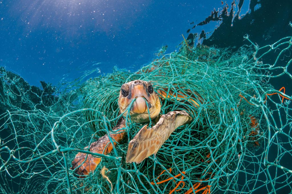 national geographic, Ocean Plastic Innovation Challenge, Sky Ocean Ventures, plastica, ambiente, inquinamento, concorso, premio, idee, soluzioni, packaging, economia circolare, sensibilizzazione