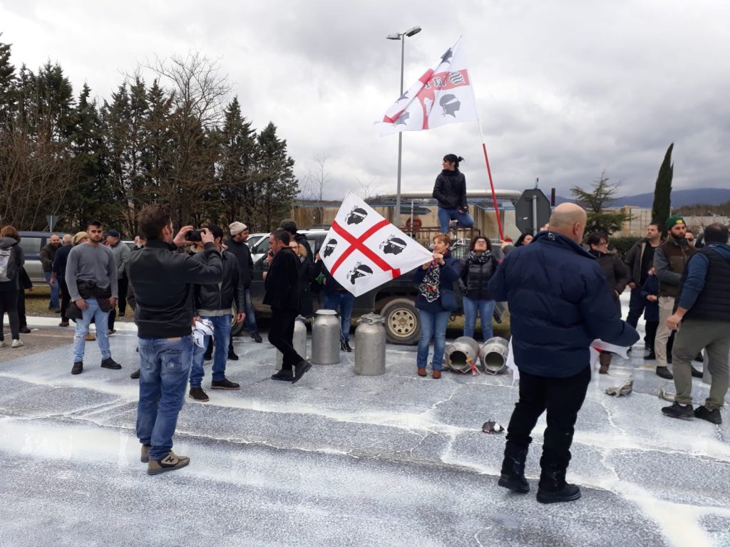 I pastori sardi protestano versando il latte nelle strade