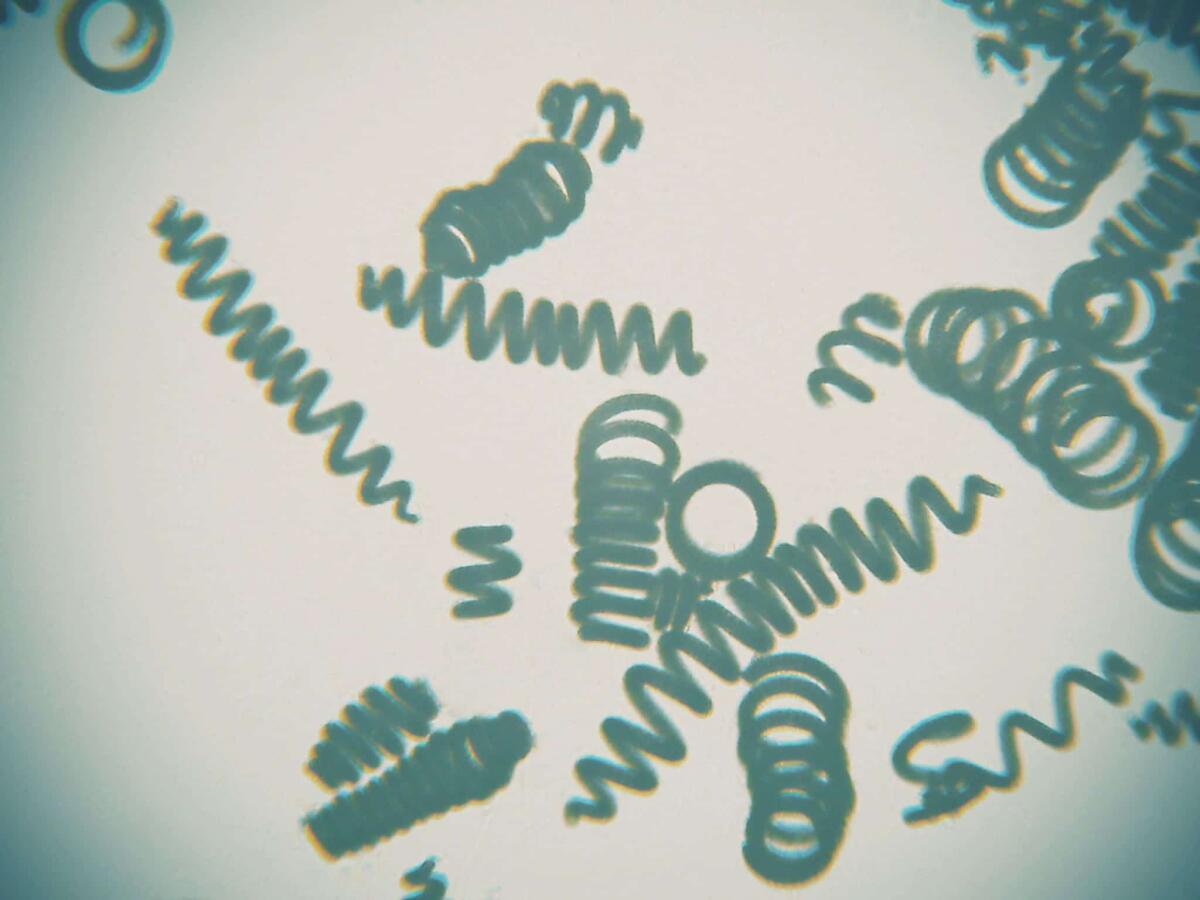 Un'alga davvero spaziale! - Alga spirulina

Crediti: www.pinterest.it