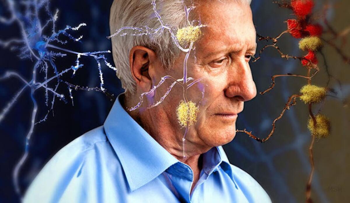 Alzheimer: un altro buco nell'acqua - Ph: knowabout.co.uk