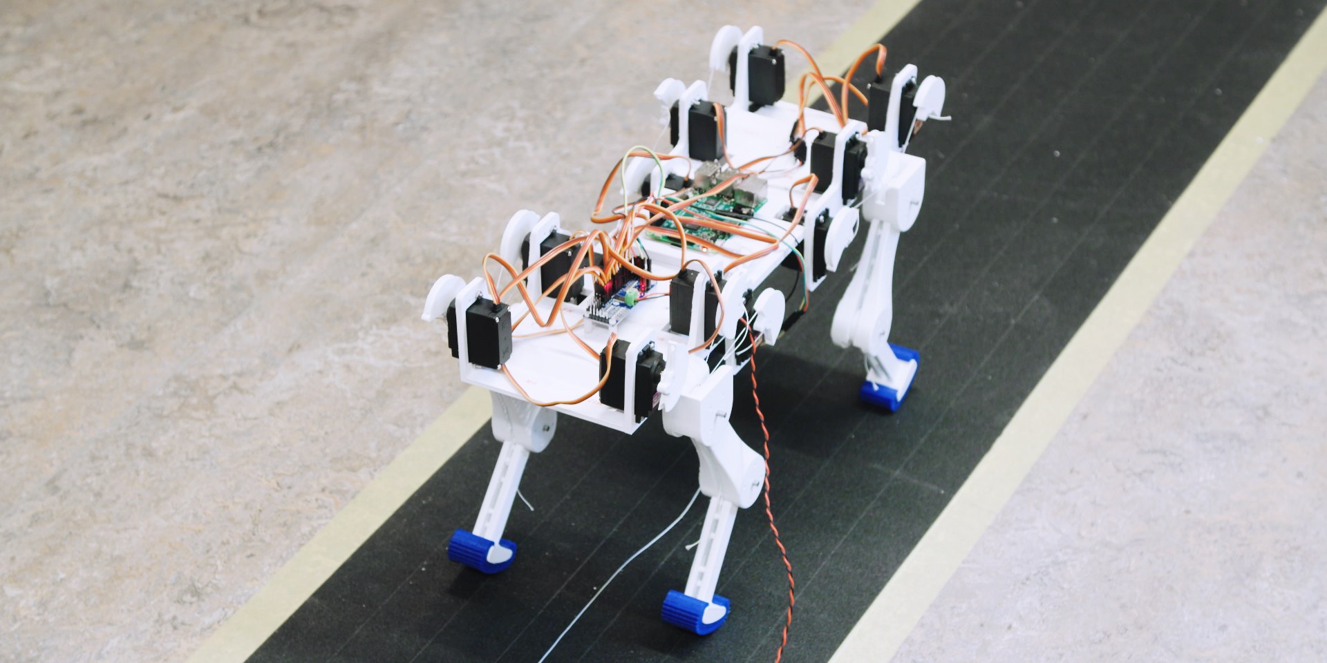 Arrivano le prime gambe robotiche che imparano a camminare da sole