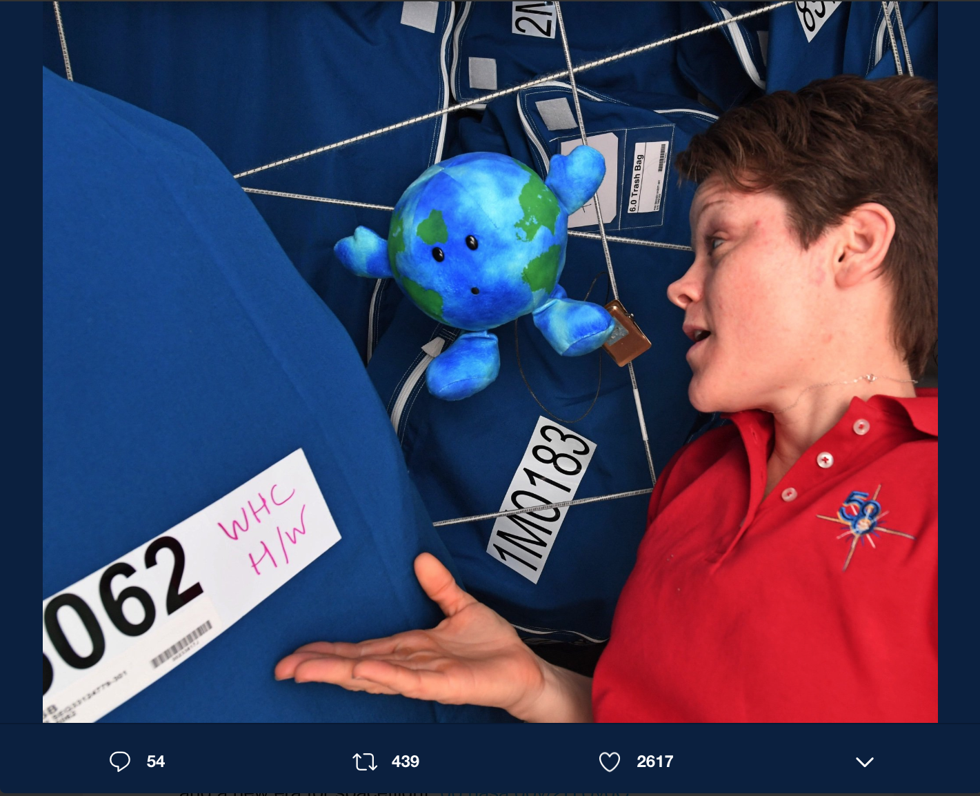 Anne McClain insieme al peluche Terra sulla Stazione Spaziale Internazionale. Credits: Anne McClain on Twitter.