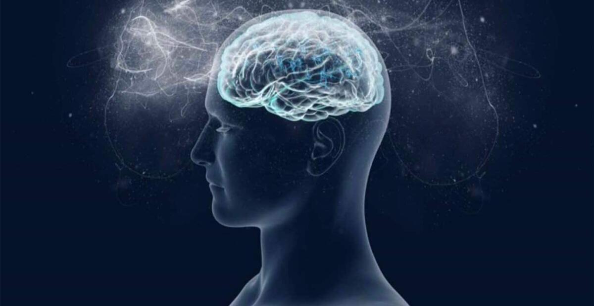 Un viaggio nel sistema nervoso: il cervello - Ph:  breaknotizie