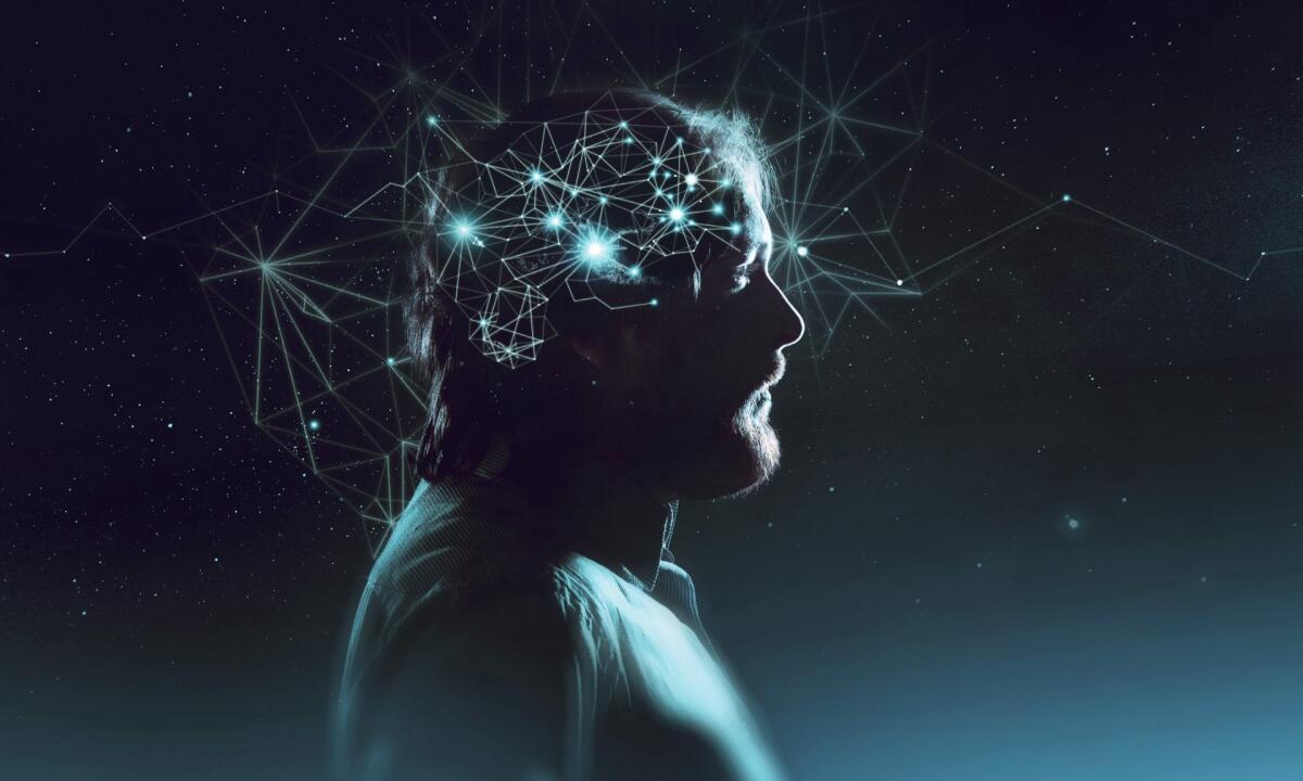 Un viaggio nel sistema nervoso: i neuroni - Ph. Medium