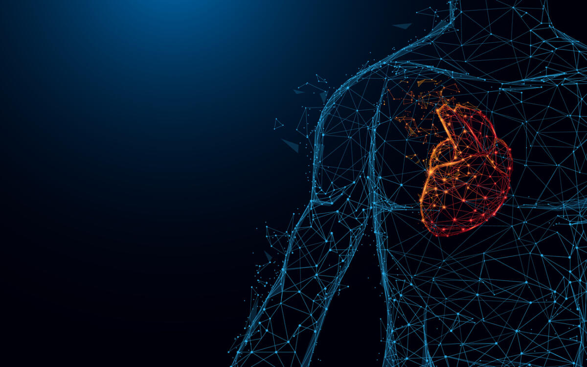 Un cerotto cardiaco limita i danni causati dall'infarto - Human heart