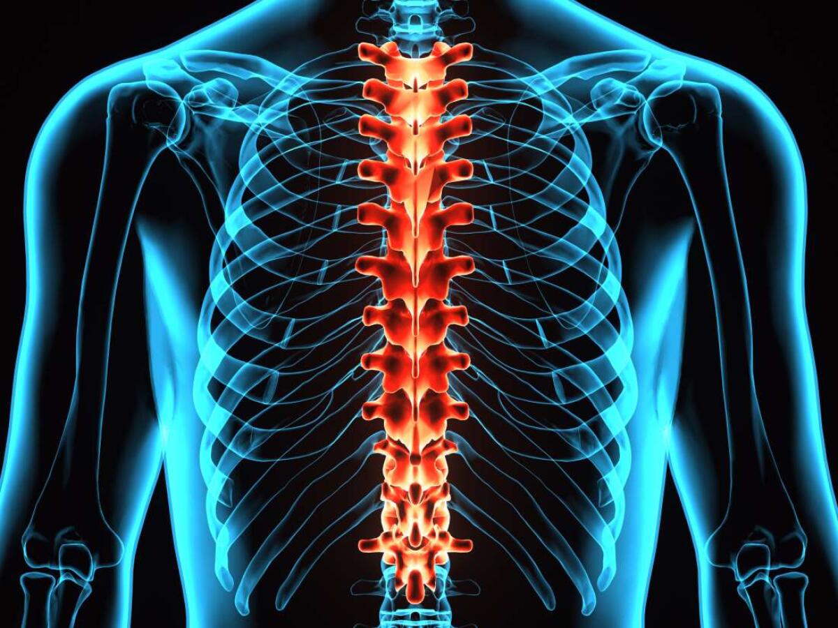 Altre 3 persone tornano a camminare grazie alla stimolazione spinale - Altre 3 persone tornano a camminare grazie alla stimolazione spinale
Credits: www.medicalnewstoday.com