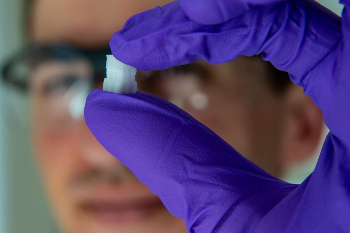 Uno scaffold stampato 3D per riparare le lesioni osteocondrali - Ph: Rice University