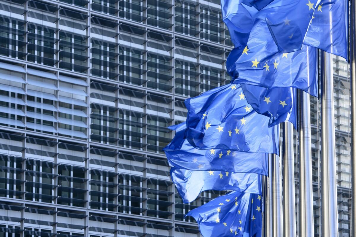 Elezioni europee, WWF chiama Italia - ilcaffegeopolitico.org