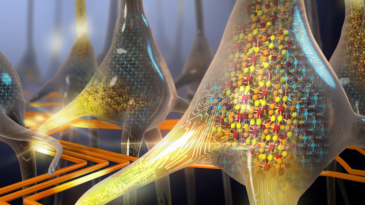 Neuroprotesi: creato in Italia il primo tessuto nervoso umano in laboratorio - PH:edge9.hwupgrade.it