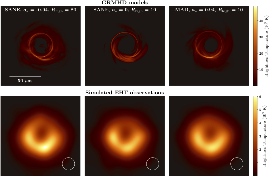 Simulazioni vs immagini reali. Credits: Evento Horizon Telescope