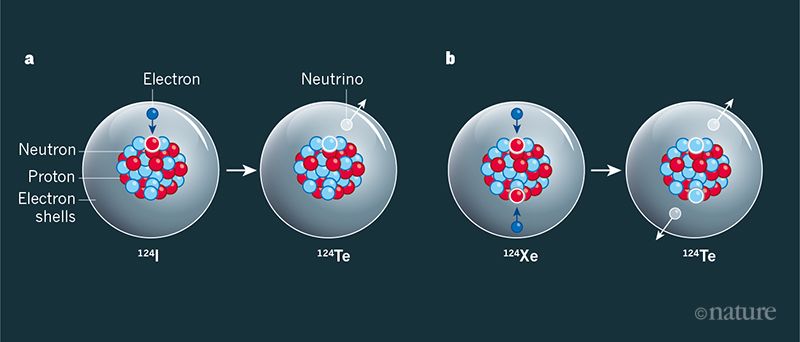 Decadimento: da xenon a tellurio.Crediti: www.nature.com