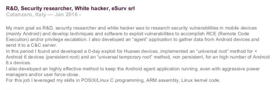 Parte del CV di un dipendente eSurv. Credits: Security Without Borders