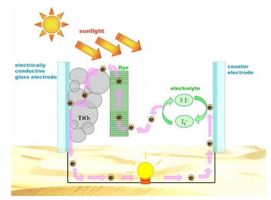 fotovoltaico-celle-elettrochimiche-gratzel-fotone-scarti-vinificazione-vino-vinitaly-cafoscari-università
