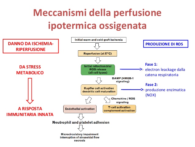 Ph:slideshare.net
