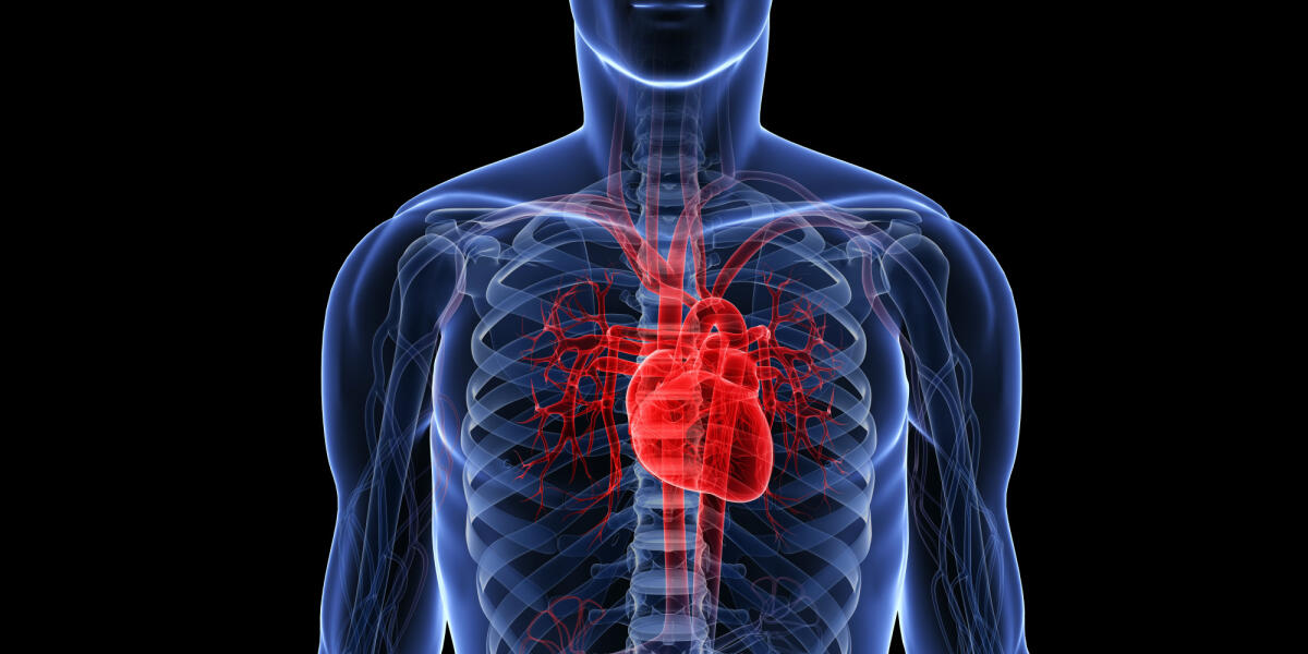 TAVI: stop agli interventi a cuore aperto in caso di stenosi - 