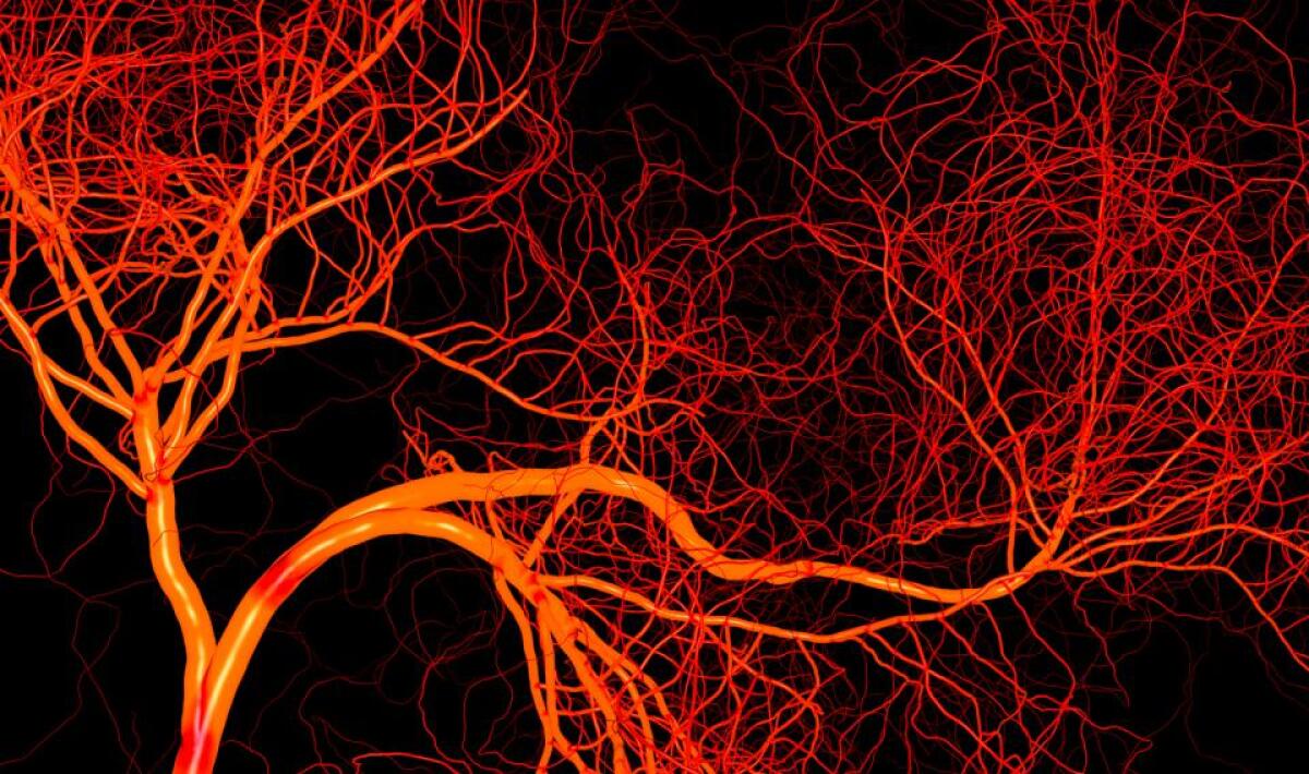 Gli organi stampati 3D prendono una boccata d'aria fresca - Blood vassals