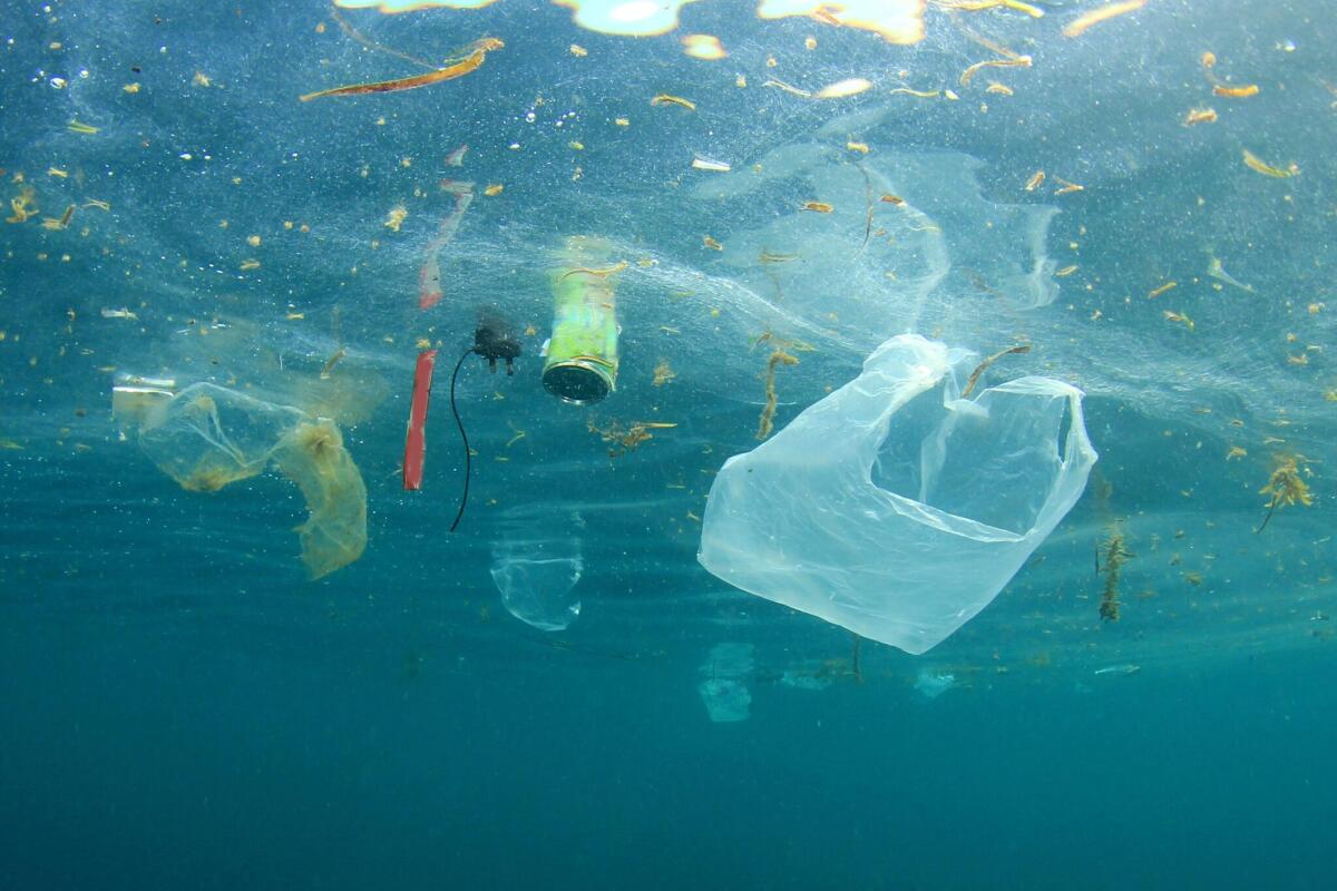Sintetizzati due enzimi con cui ci sbarazzeremo della plastica - enzimi plastica, crediti: image-store.slidesharecdn.com