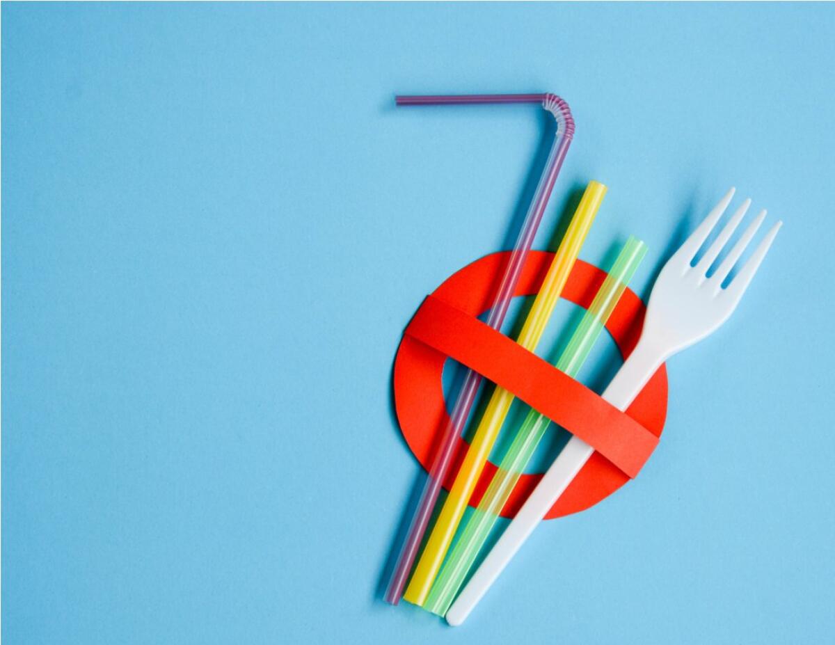 Stop alla plastica monouso dal 2021 - newsstandhub.com