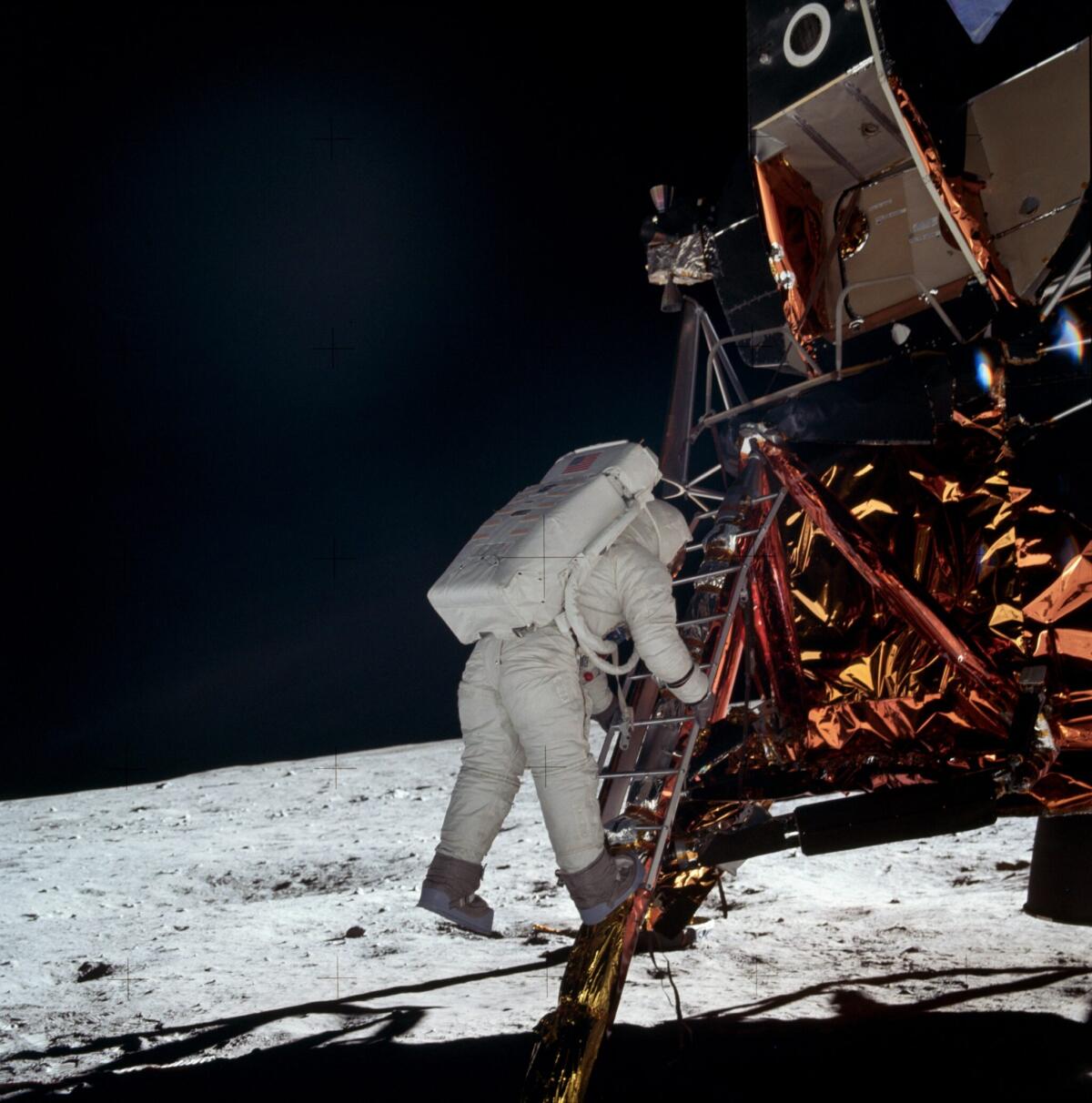 L'imperdibile mostra "Explore - Sulla Luna e oltre" - La mostra Explore.

Crediti: NASA Apollo Archive