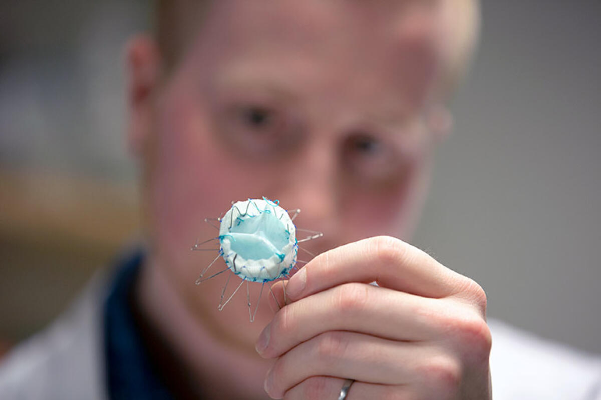 Valvole cardiache transcatetere: il futuro è nei nanocompositi! - Credits: UBC