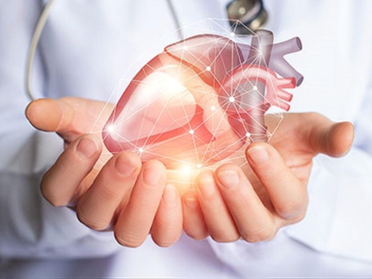 Nuovo biomateriale riproduce le proprietà meccaniche del cuore umano - Ph: corrierenazionale.it