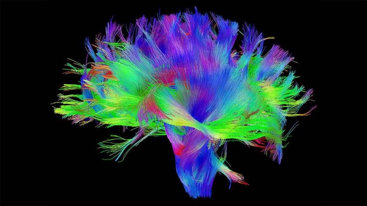BCI: Human Brain Project - Human Brain Project. Credits: pbs.org