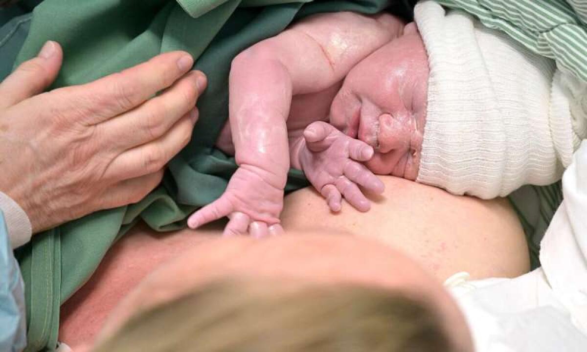 Trapianto di utero con chirurgia robotica: nato il primo bambino - Trapianto di utero con chirurgia robotica: nato il primo bambino
Credits: University of Gothenburg