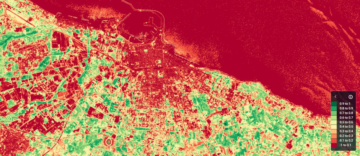Una nuova metodologia per connettere telerilevamento ed efficienza energetica - Immagine ottenuta combinando la banda ottica del Rosso (Red) e dell’Infrarosso Vicino (Near InfraRed- NIR). EOS Land Viewer.